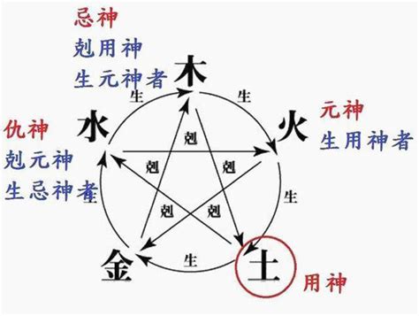 六爻人|什么是六爻？